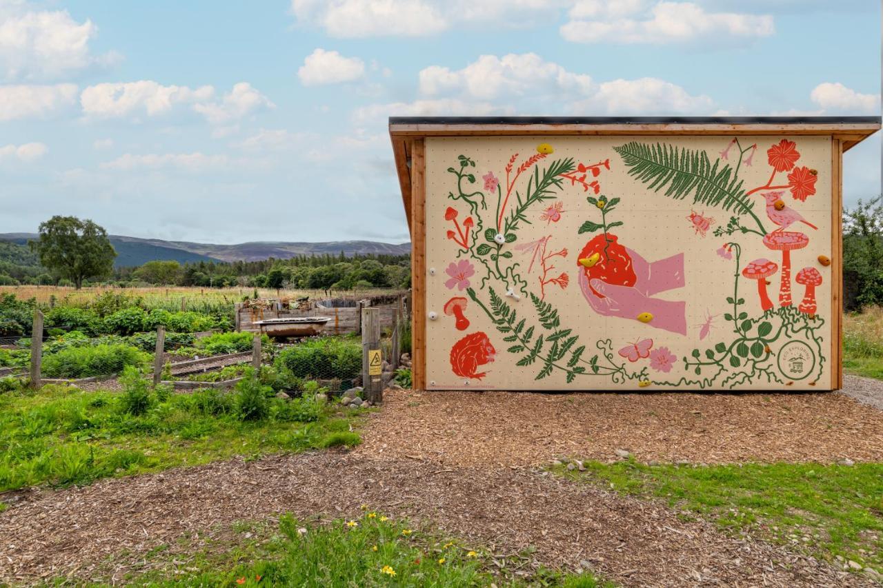 Alba - Charming Boutique Forest View Cabin With Hot Tub In בלאטר מראה חיצוני תמונה